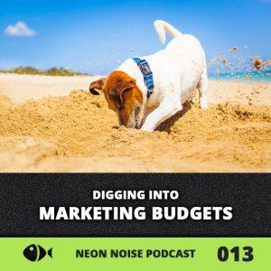 Digging into Marketing Budgets