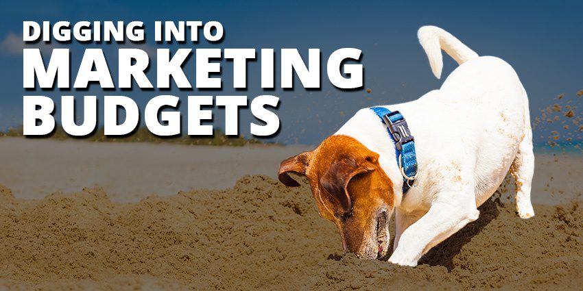 Episode 13: Digging into Marketing Budgets