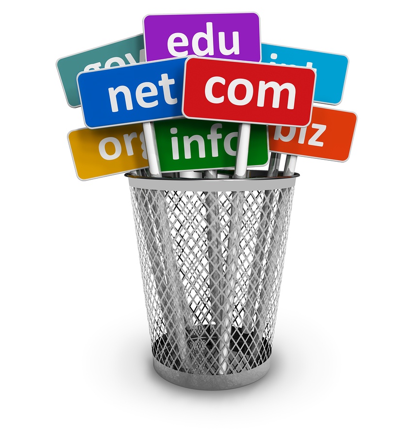 There are many options for domain extensions.