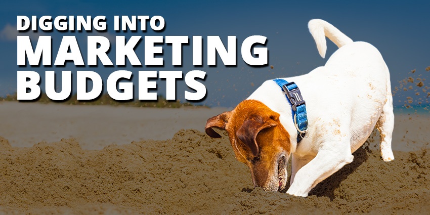 Episode 13: Digging into Marketing Budgets Post Thumbnail